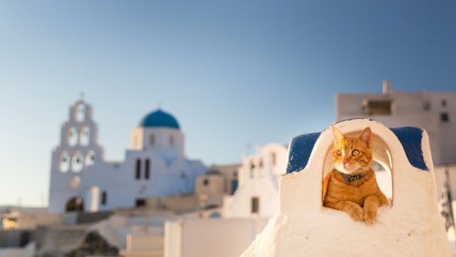 В Греции растет количество ранних бронирований туров на лето.