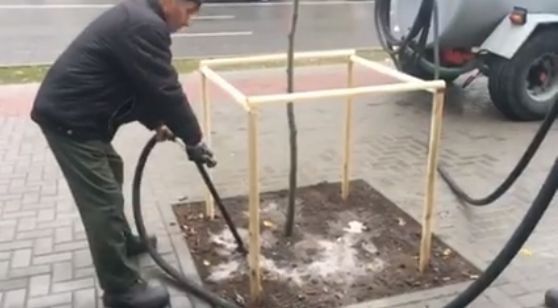 Коммунальщики поливают деревья во время дождя.