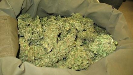 Un alt bărbat, de 45 de ani, a fost reținut cu 700 de grame de marijuana și 1 kg de semințe de cânepă. 