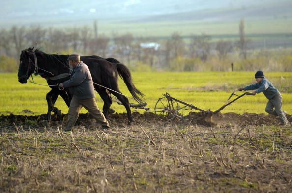 В городах живут 1 511.1 млн человек, или 42,5%. Фото: agrointel.ro