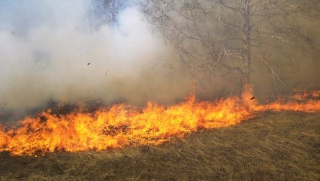 Peste 80 de hectare de vegetaţie au ars timp de 24 de ore.