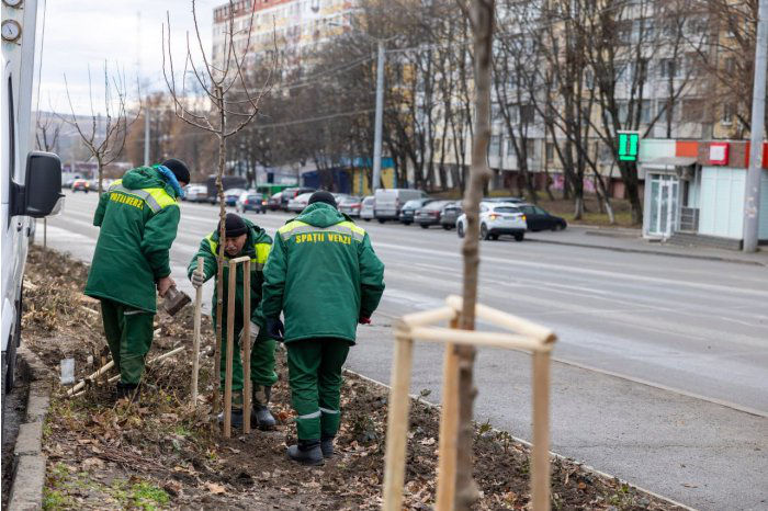 В столице началась весенняя озеленительная кампания.