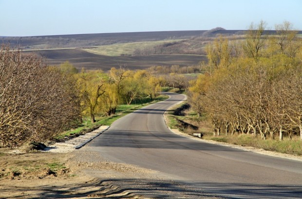 Potrivit datelor Inspectoratului Naţional de Patrulare, în Moldova s-au produs, anul trecut, 2.600 de accidente rutiere.