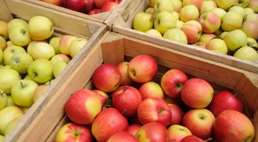 Власти ведут переговоры с ЕС об отмене квот на поставки отечественной продукции.