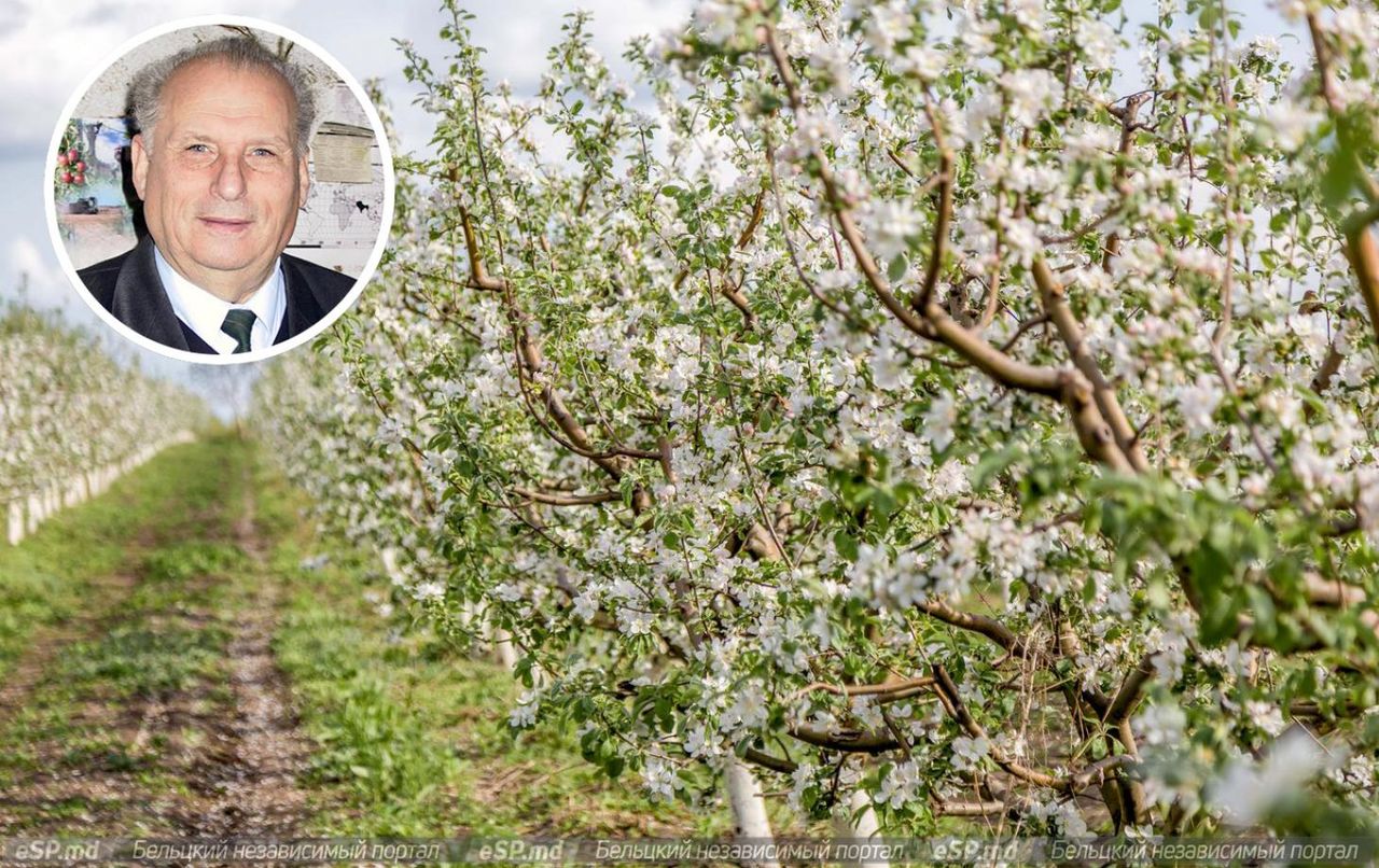 Михаил Вронских дал прогноз о будущем урожае.