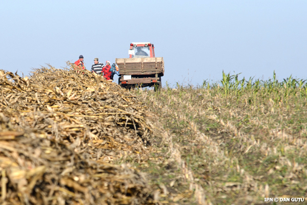 În Moldova există anumite constrângeri pentru întreg mediul de afaceri care afectează şi agricultura.