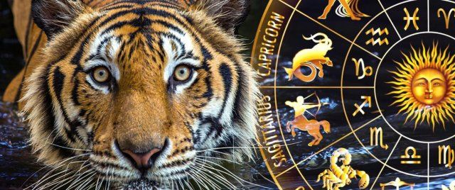 Астролог рассказала, для кого 2022 год будет особенно удачным.
