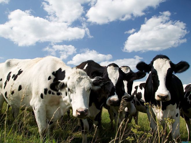 Расходы на производство любой продукции на Украине выросли, а доходы потребителей существенно снизились.
