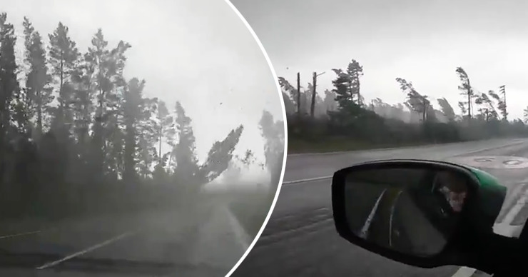 Очевидцы опубликовали видео с места событий. Коллаж: Point.md.