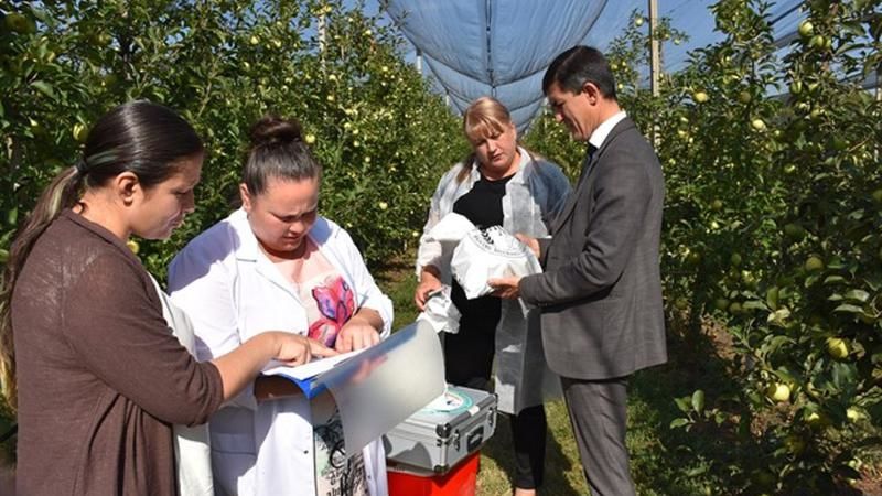 ANSA проводит проверки полей и садов в стране.