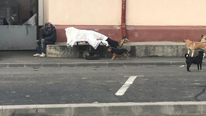 Afacere cu mortul pe căruţ la Piaţa Centrală.