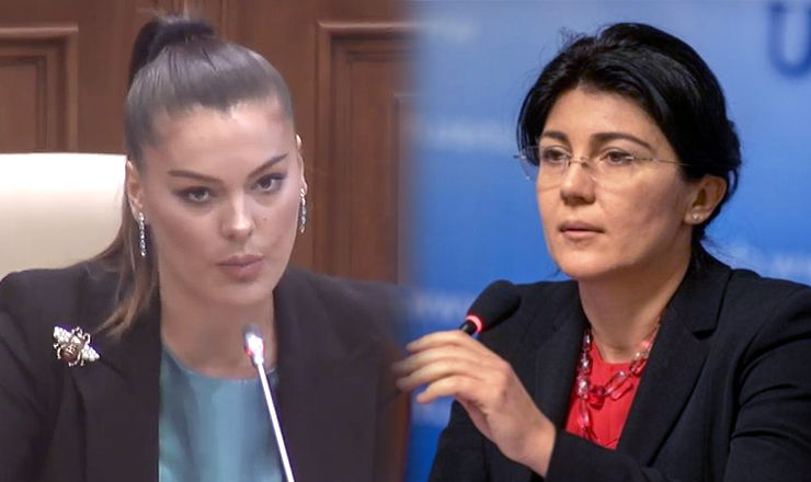 Либералы потребовали заслушать в парламенте Сильвию Раду.