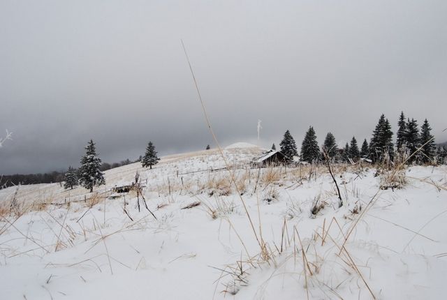 De astăzi vremea se răceşte! Meteorologii prognozează pentru următoarele ziletemperaturi de sub zero grade.