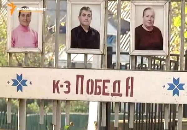 «Победа» - единственное сохранившееся коллективное хозяйство на юге Молдовы.