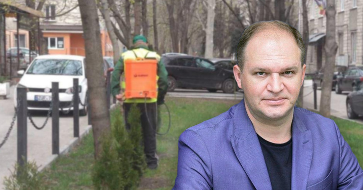 Чебан: В парках начались работы по борьбе с клещами и другими вредителями.