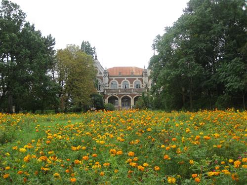 Парк и имение «Андрей Поммер» в селе Цаул, Дондюшанского района. Фото: bastina.md