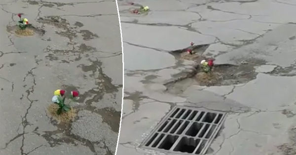 В Калараше демократов встретили цветами в дорожных ямах.