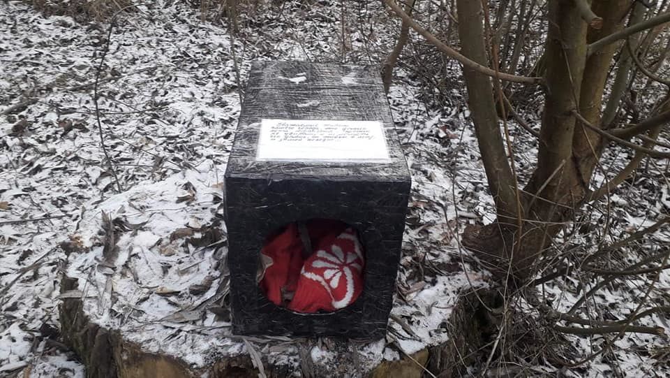 В парке Кишинева появился домик для кота, который попросили не трогать.