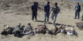 Insurgenții talibani sunt principalii suspecți, aceștia fiind acuzați și în trecut de decapitarea unor cetățeni afgani, în acțiunile de spionaj pentru forțele afgane și NATO conduse de SUA.