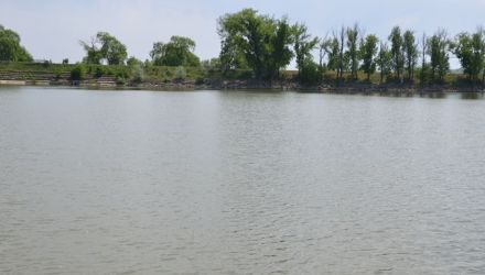 Tragedia s-a întâmplat în această după amiază, lângă iazul din satul Costeşti, raionul Ialoveni.