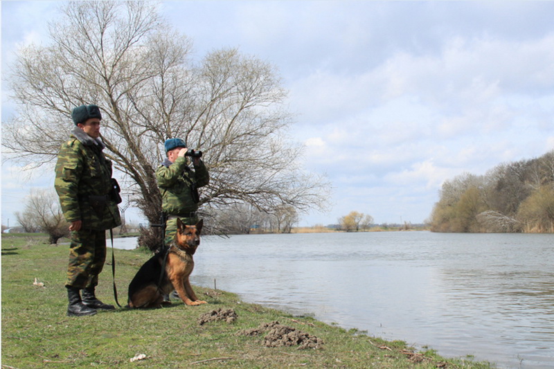 На приграничных водоемах в минувшие выходные задержано 17 человек, незаконно промышлявших рыбной ловлей. Фото: gagauzinfo.md 