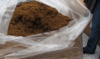 Aproape 500 de mii de kilograme de tutun fermentat a fost exportat fraudulos din Republica Moldova.