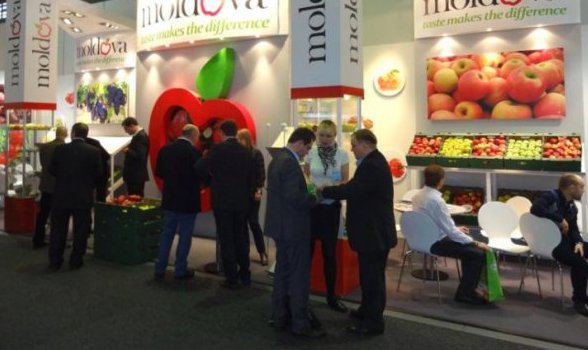 În cadrul unei întruniri post-eveniment la Chișinău, participanții moldoveni au convenit să-și coordoneze activitățile cu scopul de a ”prinde” cele mai recente inovații în producerea de fructe proaspete și de a îmbunătăți calitatea acestora pentru a se conforma cu cerințele stringente europene.