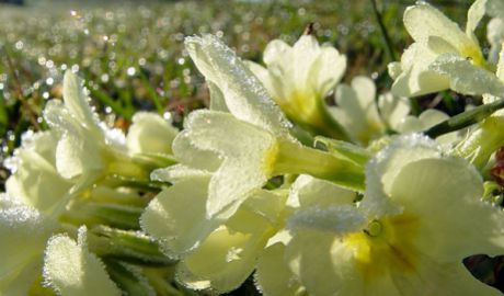 Codul galben de îngheţuri este valabil şi astăzi. Foto: blog.mihaisavu.com