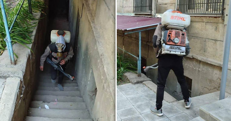 В столичных подвалах и помещениях для сбора мусора начата дезинсекция и дератизация. Коллаж: Point.md