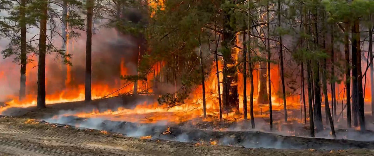 Площадь пожаров в Сибири превысила 65 тыс. кв. м.