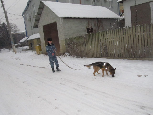 Собака на службе у полиции. Фото: igp.gov