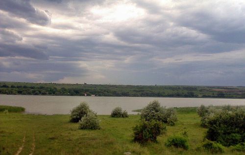 Eсли не принять срочные меры озеро может стать настоящим источником инфекций.