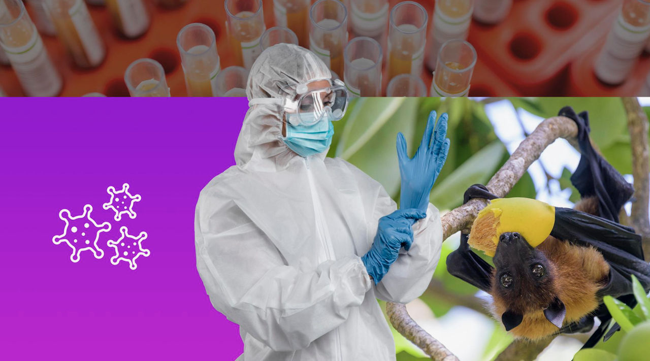 OMS: Ambele persoane infectate cu virusul Nipah în India sunt în viață.
