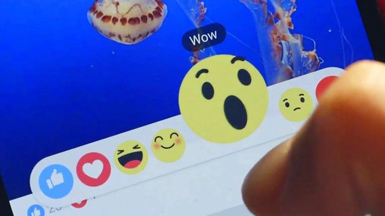 Facebook может перестать показывать количество лайков под публикациями пользователей. 