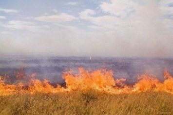 В период действия желтого уровня метеоопоасности возможно возгорание сельскохозяйственных культур, складов фуража, участков лесной растительности, жилищ и бытовых пристроек. Фото: newsmir.info.
