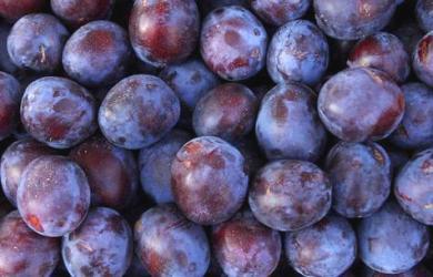 Установлено заражение молдавских слив восточной плодожоркой (Grapholitha molesta Busck.). Фото: freshmarket.ru