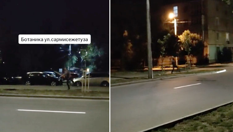 В секторе Ботаника мужчина ночью пытался сломать деревья.