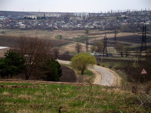 В Шолданештах местный советник уличен в конфликте интересов.