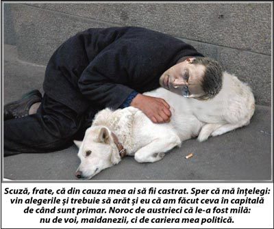 Aceștia îl acuză pe Dorin Chirtoacă că omoară cu cruzime maidanezii pe străzile orașului, relatează Actualități.md.