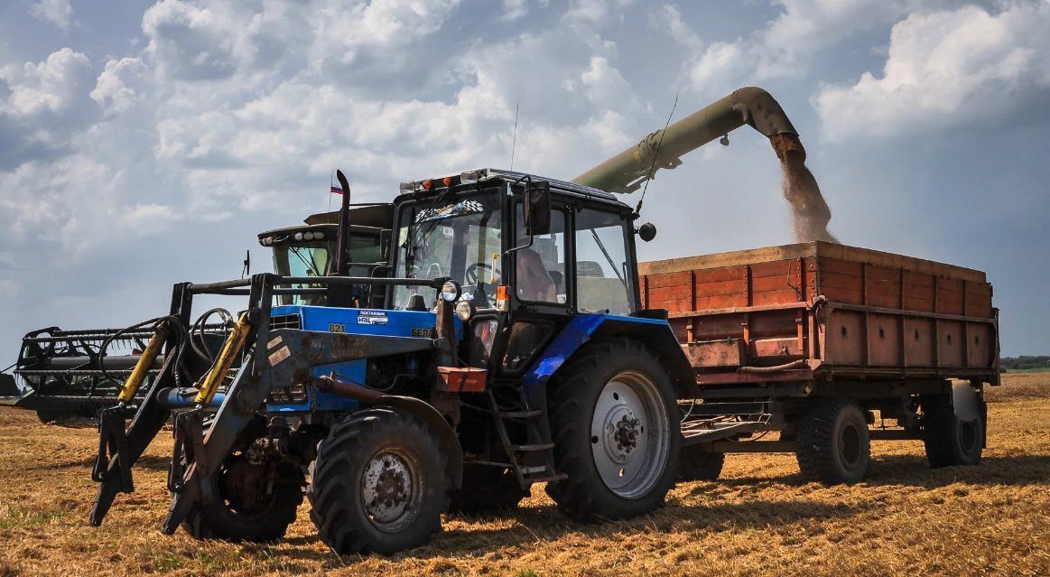 Фермеры - Санду: При экспорте продукции мы сталкиваемся с монополизмом.