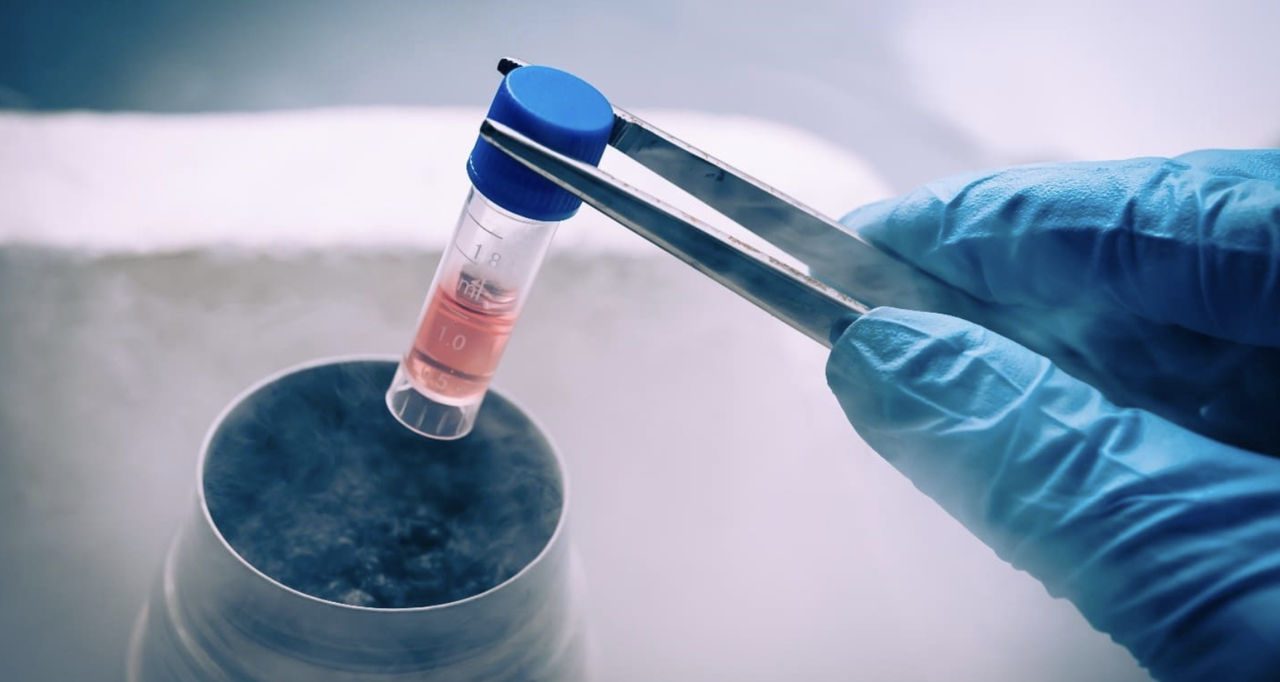PSRM propune introducerea voucherelor de stat pentru fertilizare in vitro.