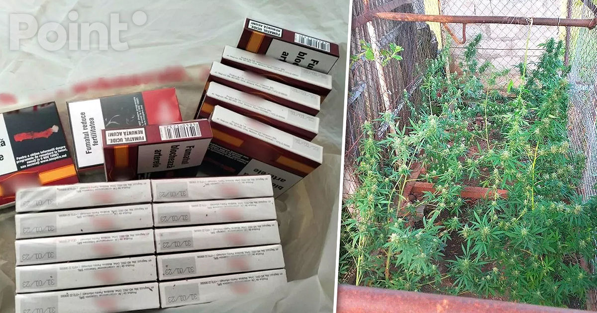Percheziții la Edineț: Droguri și produse din tutungerie, depistate de polițiști.