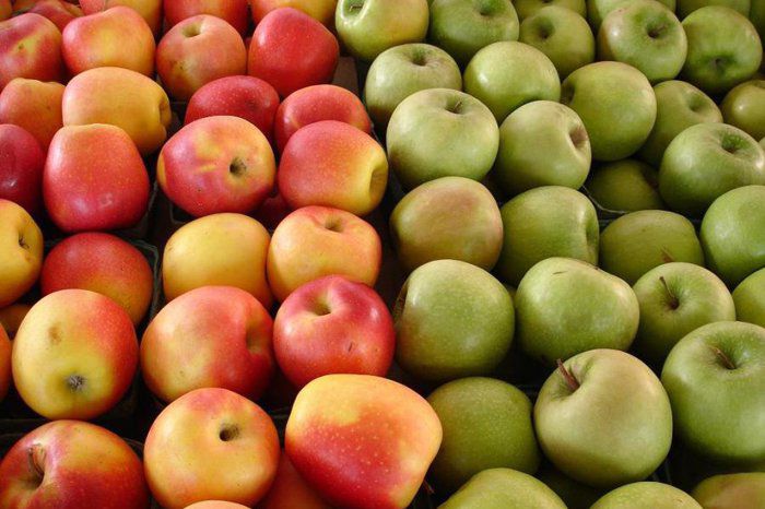 Piața europeană devine tot mai importantă pentru exportatorii de produse vegetale din R. Moldova. 