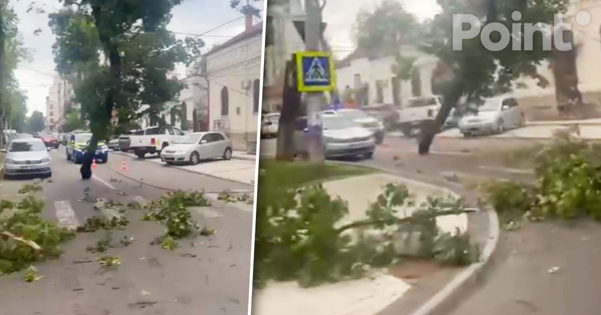 Rafale de vânt în Capitală: Un copac s-a prăbușit chiar pe carosabil.