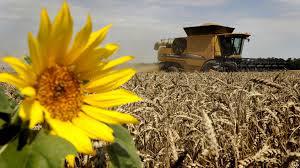 Potrivit reprezentanţilor Agenţiei de Intervenţie şi Plăţi pentru Agricultură, suma totală este de 82 milioane de lei.