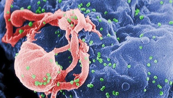 Генетики открыли новый штамм ВИЧ, способный передаваться от человека к обезьяне и обратно.