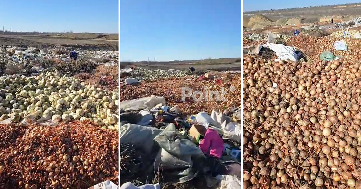 Tone de legume aruncate la Gura Bîcului. Reacția Ministerului Agriculturii.