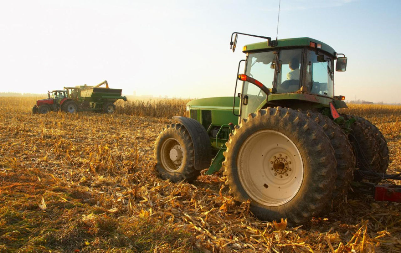 Fermierii din raionul Criuleni, despre recolta de grâu: Roadă vom avea, dar prețul este scăzut.