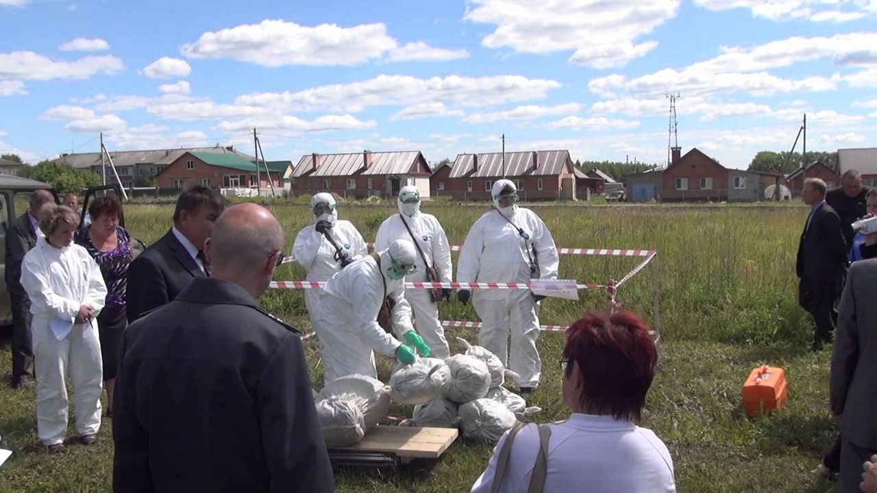 В Молдове зафиксированы два очага африканской чумы свиней.