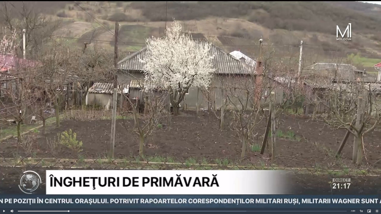 В селах Молдовы боятся, что из-за заморозков погибнут урожаи.